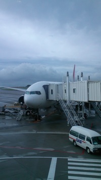 10月11日の記事 2011/10/11 09:17:35