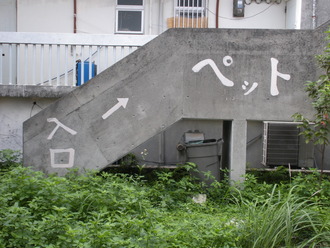 意味不明・・・