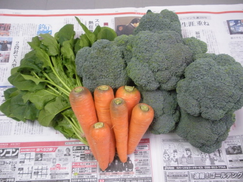 無農薬野菜