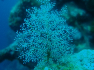 満足満足大満足！！