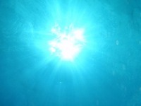 ９月スタート！！ 2008/09/01 20:24:16