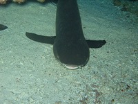 あー、夏休み 2008/07/24 19:38:01
