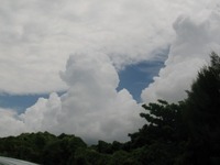 この雲 2008/06/16 20:07:11