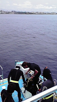 5月1日の記事 2008/05/01 13:23:57