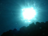 ８末 2008/08/31 19:56:31
