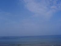 パイレーツ 2008/08/03 15:45:04