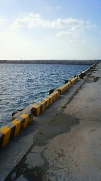 伊良部島 2010/11/26 11:27:07