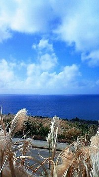 南大東島 2010/12/02 12:11:27