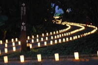 首里城祭 2010/10/30 23:07:47
