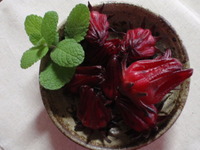 あけましておめでとうございます！ 2011/01/02 15:00:08