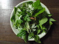 観光気分とお正月明け 2011/01/10 22:42:46