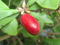 もうすでに風強いです。 2012/06/15 19:11:01