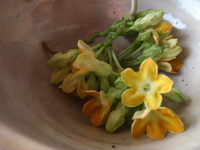 イエライシャン料理 2010/08/01 00:18:05