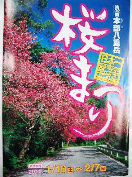 桜まつりの季節
