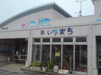 泊　いゆまち