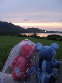 夜は♪ 2012/07/07 19:16:06