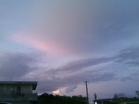 雨あがり 2012/08/14 19:39:34