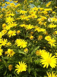 言葉かけ 2011/04/03 10:50:15