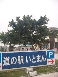 お手伝い 2011/04/29 11:25:16