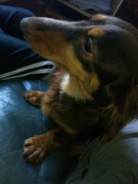 誕生日♪ 2011/06/09 17:51:33
