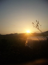 A Happy New Year 2012/01/03 07:37:27