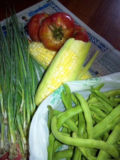 無農薬野菜