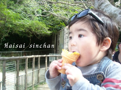 ★動物園★