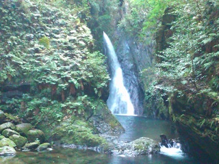 夏らしい、暑さ？