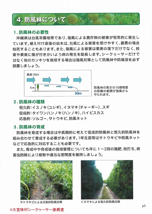 シークヮーサー栽培マニュアルを作りました 大宜味村シークヮーサー産地振興協議会ブログ