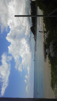ナツイロ 2011/02/20 10:58:48