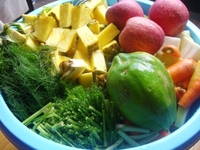 野菜・果物・野菜 2010/05/20 19:26:12