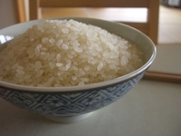 がはっはっ！！ 2010/04/01 22:37:56