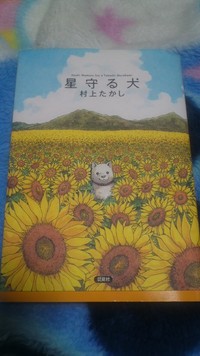 居ぬドッグ *景* 2010/09/03 19:07:08