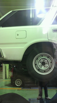冬支度 2011/11/24 17:44:29