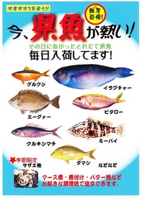 今！県魚が熱い！ 2011/09/12 00:03:48