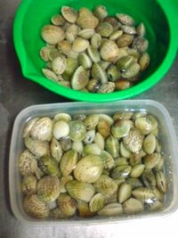 貝 2010/12/05 17:36:37