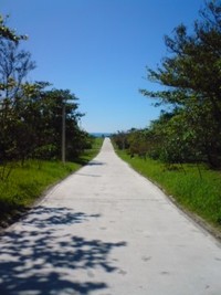 まだまだ夏！ 2011/08/19 16:34:07