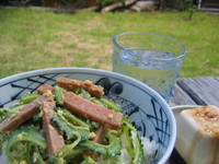 裏ゴーヤーの日 2006/08/06 02:50:21