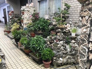 平良昭一の活動ブログ 素敵な石材と貝殻の家