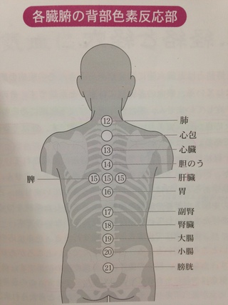 沖縄 カッピング 吸い玉療法 温熱療法 天 てぃん 経絡 経穴 けいらく けいけつ とは