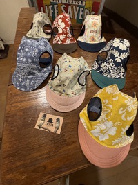 DOG CAPS
