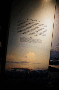 ニライカナイ。 2013/03/05 06:02:50