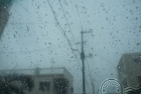 雨。 2014/02/08 10:56:43