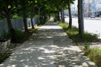 行進。 2014/05/21 12:52:00