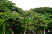 公園にて。 2014/06/03 12:49:40