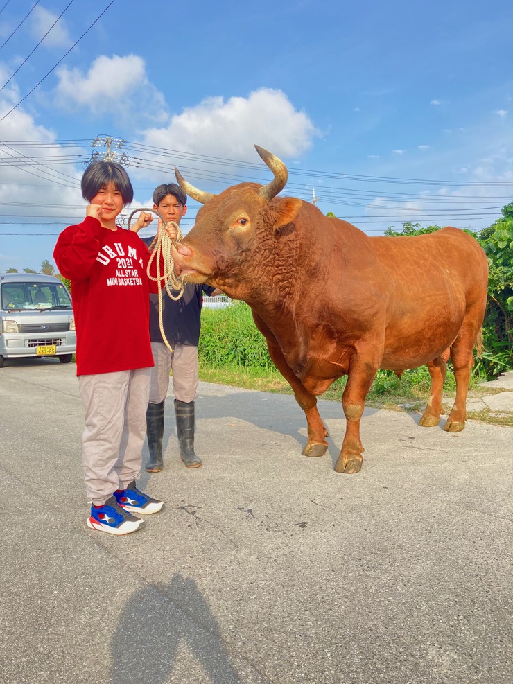 6月23日（日）慰霊の日大闘牛大会