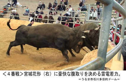 公式】闘牛 in Okinawa Blog