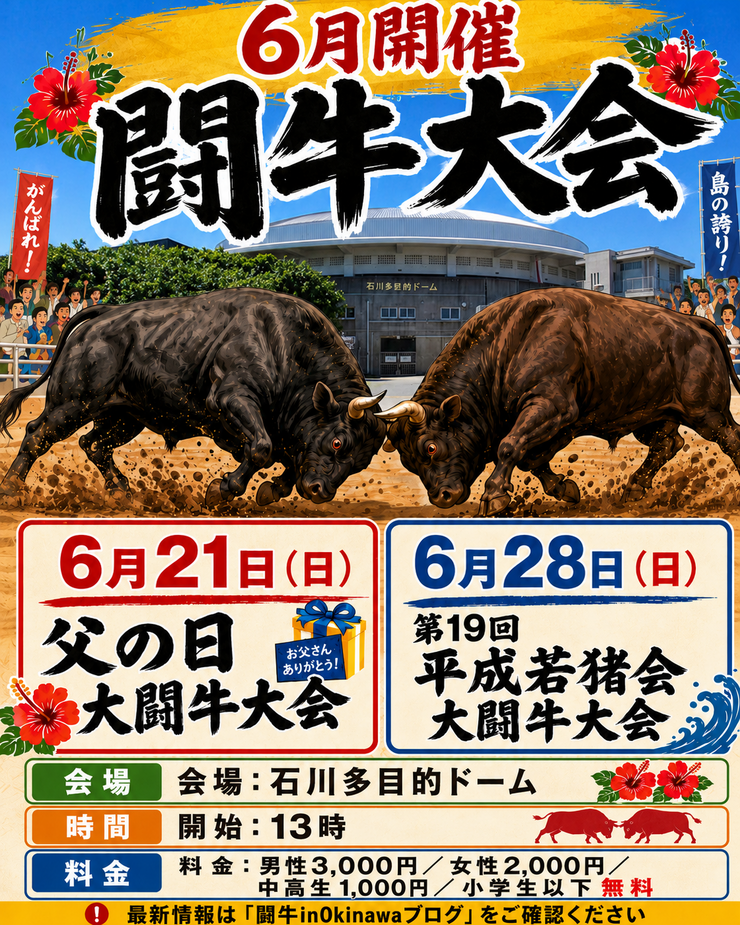公式】闘牛 in Okinawa Blog