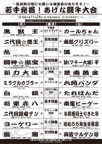 11月24日（日）若手発掘！あげな闘牛大会