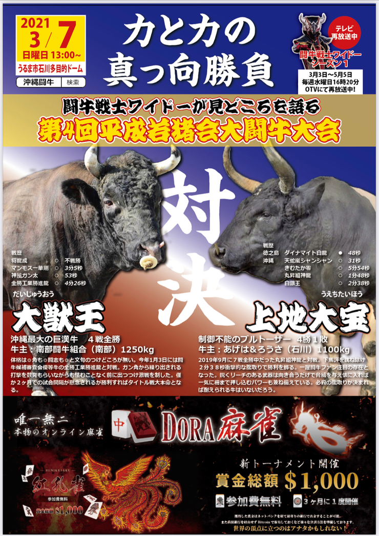 公式】闘牛 in Okinawa Blog